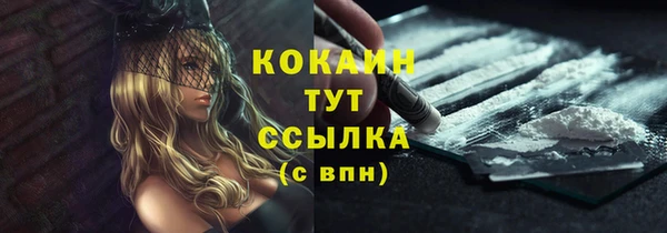 винт Лагань