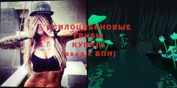 2c-b Липки