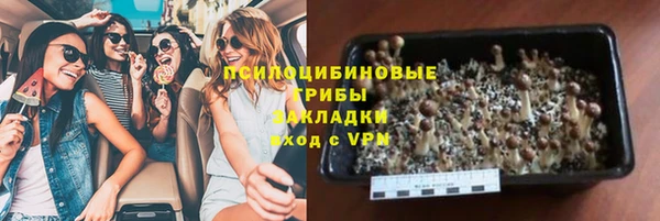 2c-b Липки