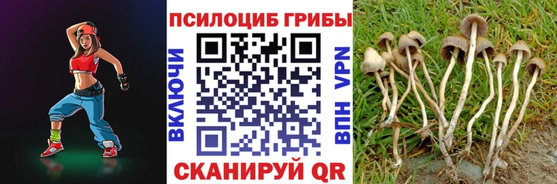 hydra сайт  Староминская  Псилоцибиновые грибы Magic Shrooms  наркотики 
